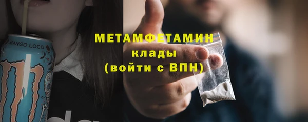 индика Абаза