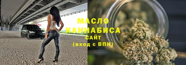 индика Абаза