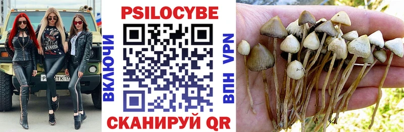 Галлюциногенные грибы MAGIC MUSHROOMS Злынка