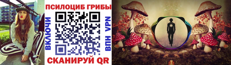 наркотики  Злынка  Галлюциногенные грибы Cubensis 
